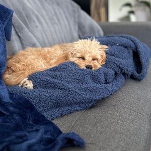 Meet your Posher, Jillyn